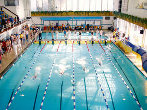 Supporting image for story: Options back on the table for Shrewsbury swimming pool