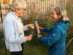 Feed the Birds brings companionship through bird feeding