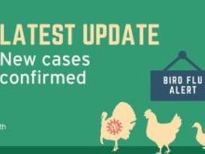 Supporting image for story: Bird flu found in owl on Staffordshire-Shropshire border 