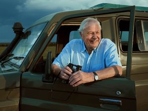 Supporting image for story: Sir David Attenborough to narrate new immersive BBC Earth Experience in London