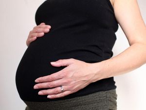 Supporting image for story: Male patients likelier to die if woman donating blood has been pregnant, study finds