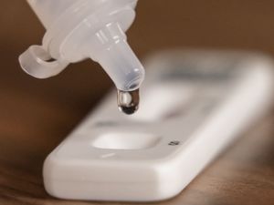 Supporting image for story: Headteachers’ leaders call for return of free Covid tests