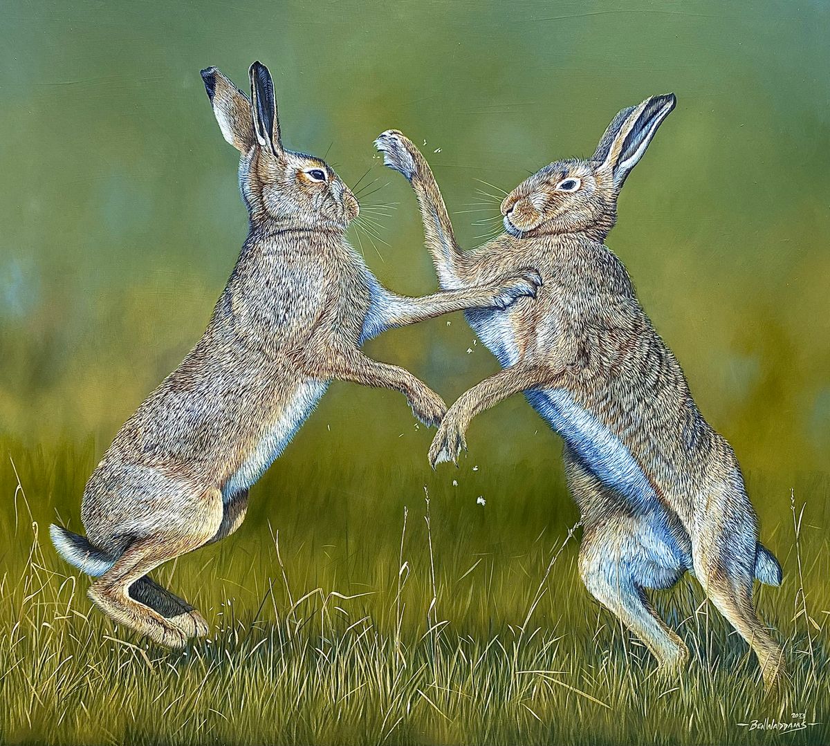 Welcome wildlife’s heralds of spring - the harbingers of warmer weather we can spot across Shropshire in March Welcome wildlife’s heralds of spring - the harbingers of warmer weather we can spot across Shropshire in March