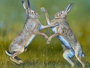 Supporting image for story: Welcome wildlife’s heralds of spring - the harbingers of warmer weather we can spot across Shropshire in March