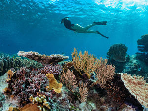 Supporting image for story: What's on your bucket list? The trips and treats we want to tick off the most