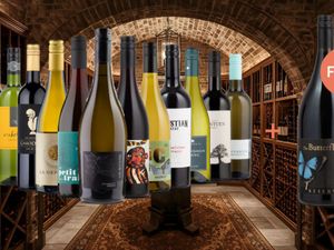 Supporting image for story: Naked Wines festive offer: £75 off a 12-bottle case and free magnum