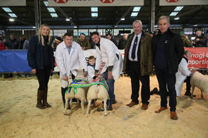Champion pair: Dutch Texel lamb stook the Sheep Supreme title, pictured with RWAS President, John Owen