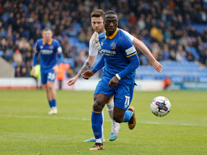 Supporting image for story: Dave Edwards: Dan Udoh leaves massive hole and Shrewsbury Town face huge challenge