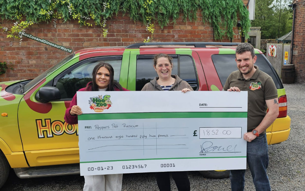 Hoo Zoo team complete Steep Challenge for local pet rescue centre