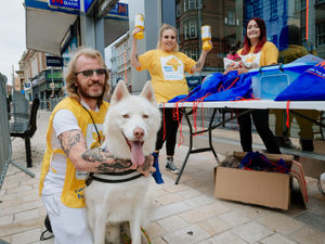 Supporting image for story: Fun with dogs on sponsored city walk