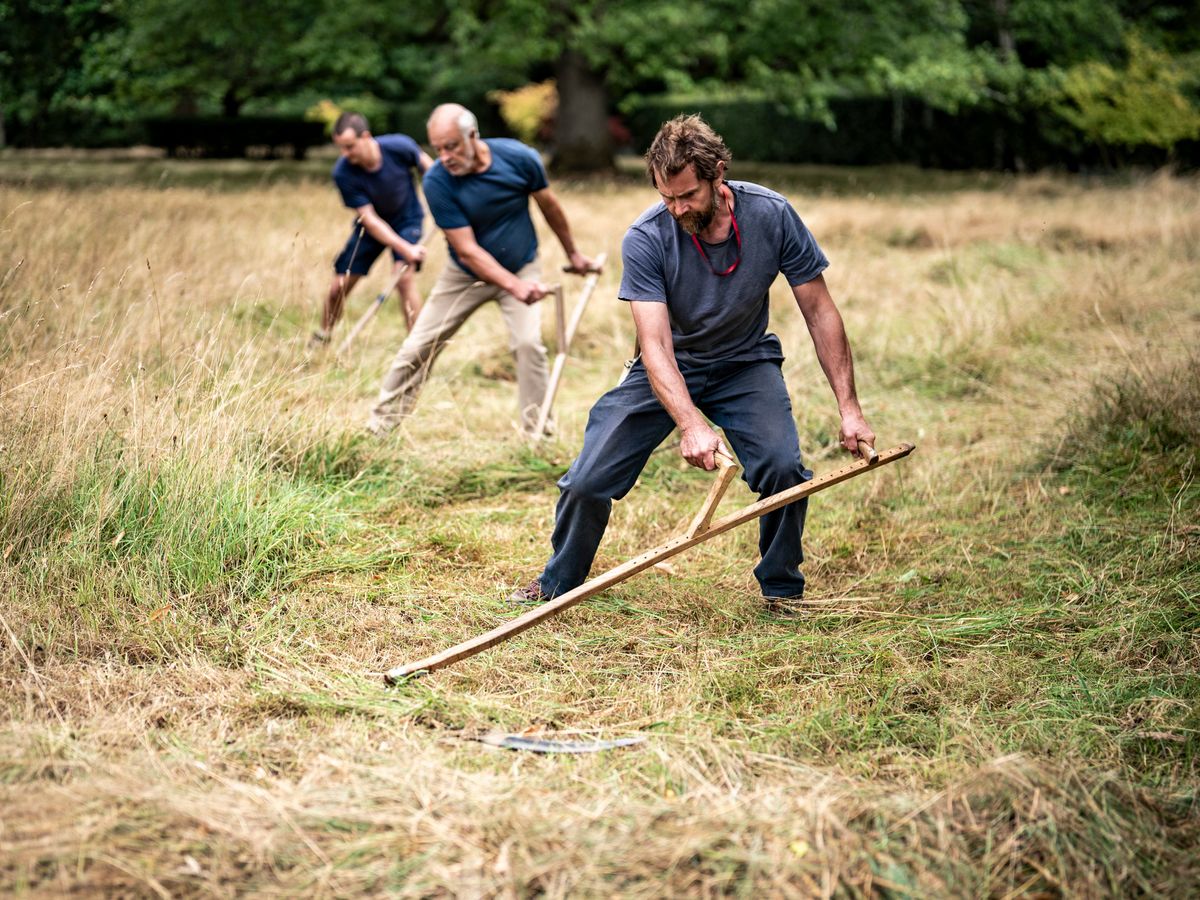 Scythers cut back the King&rsquo;s wildflower meadow in annual tradition