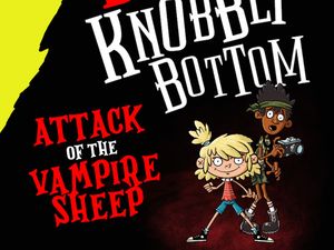 Supporting image for story: Books about vampire sheep and unusual jobs shortlisted for children’s prize