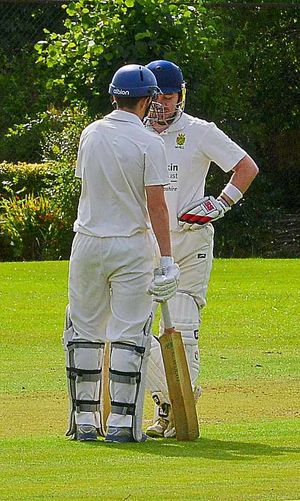 Powell and Savage have a mid-wicket conference.