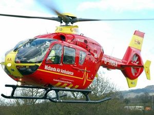 Supporting image for story: Oswestry rottweiler attack leaves woman with serious face and arm injuries