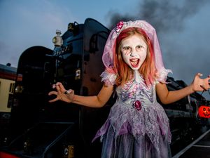 Supporting image for story: Hundreds to jump on board ghost train