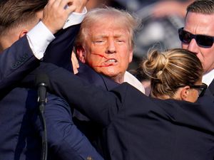 Supporting image for story: Ashley Judd among stars to condemn violence after Donald Trump shooting