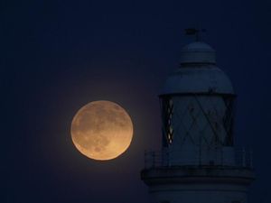Supporting image for story: ‘Wolf moon’ lunar eclipse delights skygazers