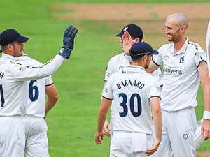 Supporting image for story: Career-best figures for Warwickshire's Hannon-Dalby