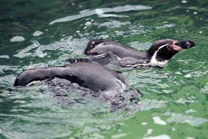 Supporting image for story: West Midlands weather: Top outdoor attractions to visit as temperatures set to reach 93F