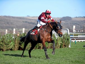 Supporting image for story: Competition: Win tickets to Grand National Ladies Day 2022