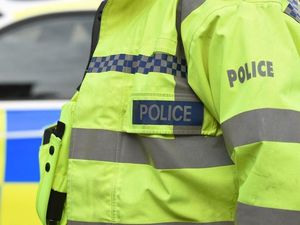 Supporting image for story: Guitar stolen from Oswestry house