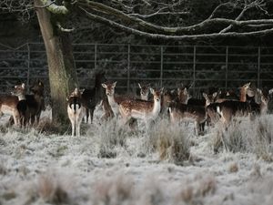Supporting image for story: Emergency team meeting as country braces for ‘multi-hazard weather event’