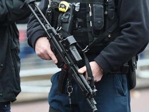 Supporting image for story: Armed police operation in Wellington