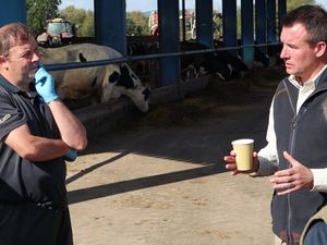 Supporting image for story: Portal launched to support farmers across Shropshire