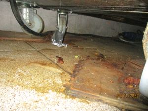 Supporting image for story: Huge fine for restaurant owner after dirty kitchen, unsafe oven and out of date food found