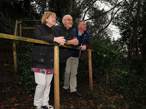 Supporting image for story: Guided tours of Darwin's childhood gardens on offer in Shrewsbury