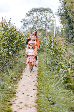 Maisy’s Maize Maze opens on August 4th.