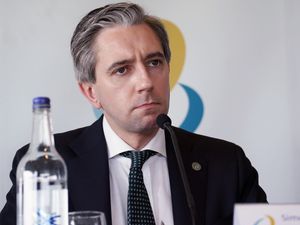 Supporting image for story: ‘More to do’ to maintain peace and improve Anglo-Irish relations – Irish premier