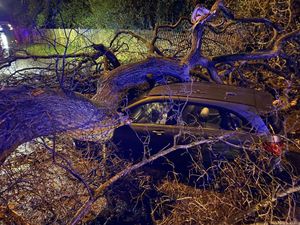 Supporting image for story: Miraculous escape as tree crushes Mercedes during Storm Franklin 