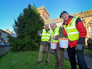Supporting image for story: Tree of Light to shine again to remember loved ones in Newport