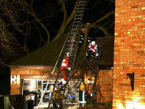 Supporting image for story: 50ft tree falls on family home