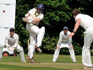 Supporting image for story: Basics have to be right warns Greg Wright