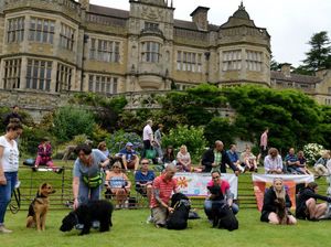 Supporting image for story: 'Woof, growl, bark!' - That's pooch language for Ludlow Dog Day is back!