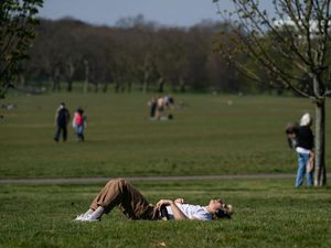 Supporting image for story