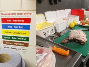 Photos of the conditions found at the premises. 