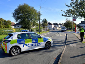 Supporting image for story: Police launch probe after gunshots fired on residential street in Pensnett