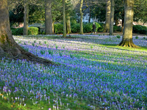 Supporting image for story: Public consultation to begin on funding for nature reserves