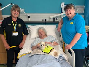 Supporting image for story: Therapy dogs bringing much-needed boost to patients for first time since Covid