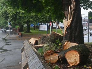 Supporting image for story: Road reopened after tree fell outside Wolverhampton's New Cross Hospital