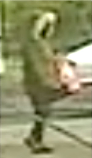 CCTV images released by police of the mysterious female figure