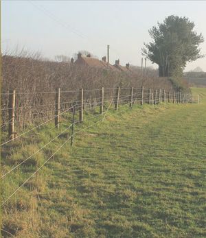 An outline planning application has been submitted for up to 100 homes in Longford, on the edge of Market Drayton. Picture: CSA