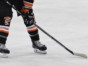 Supporting image for story: Telford Tigers make application to play in NIHL