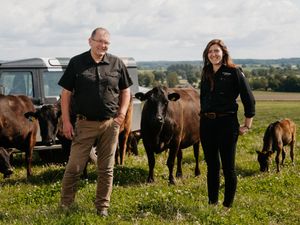 Supporting image for story: Newport farm raises the steaks with Great Taste Award-winning Wagyu beef