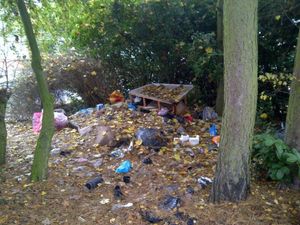 An example of an incident of fly-tipping in Wanderers Avenue in Blakenhall in Wolverhampton. Photo: Wolverhampton Council.