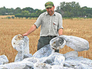 Supporting image for story: Shropshire farmer calls for Chinese lanterns ban