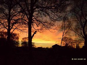 Supporting image for story: Sunset colours #photography
